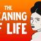 The meaning of life according to Simone de Beauvoir – Iseult Gillespie