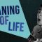 The Meaning of Life – in 60 Seconds