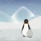 The popularity, plight and poop of penguins – Dyan deNapoli