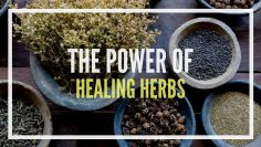 The Power Of Herbs – AWESOME BBC Herbal Medicine Documentary