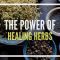 The Power Of Herbs – AWESOME BBC Herbal Medicine Documentary