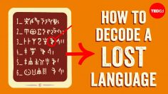 The race to decode a mysterious language – Susan Lupack