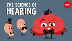 The science of hearing – Douglas L. Oliver
