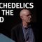 The Science of Psychedelics – with Michael Pollan