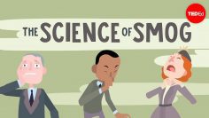 The science of smog – Kim Preshoff