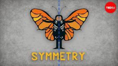 The science of symmetry – Colm Kelleher