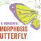 The weird and wonderful metamorphosis of the butterfly – Franziska Bauer