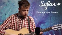 Tiger & the Trees – Big in Lausanne | Sofar Gothenburg