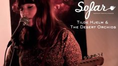 Tilde Hjelm & The Desert Orchids – Wanted You to Feel the Same | Sofar Gothenburg