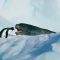 Tiny Penguin Makes a Deadly Dash From Giant Leopard Seal | Seven Worlds, One Planet | BBC Earth