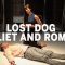 Trailer: Lost Dog ‘Juliet and Romeo’