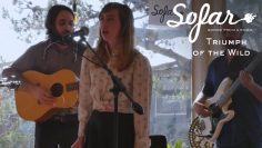 Triumph of the Wild – Let It Go | Sofar San Diego