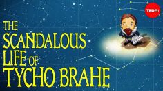 Tycho Brahe, the scandalous astronomer – Dan Wenkel