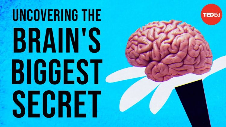 Uncovering the brains biggest secret – Melanie E. Peffer