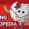 Using Wikipedia: Crash Course Navigating Digital Information #5