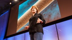 Visualizing hidden worlds inside your body – Dee Breger