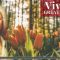 Vivaldi – Greatest Hits