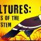 Vultures: The acid-puking, plague-busting heroes of the ecosystem – Kenny Coogan