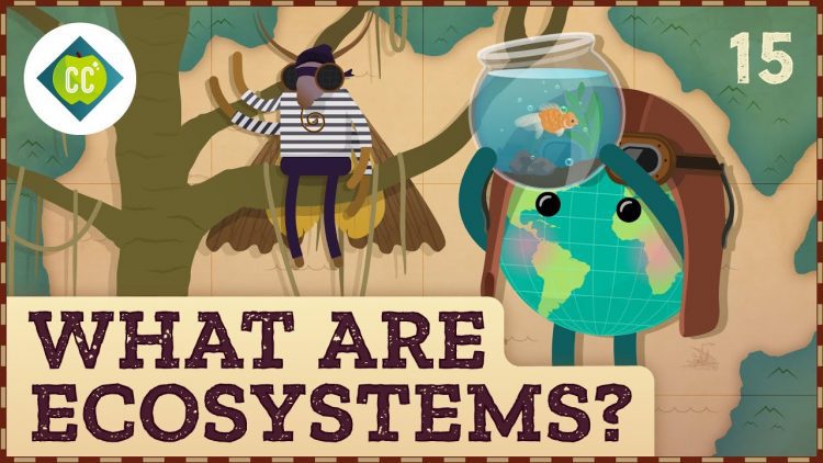 What Are Ecosystems? 速成课程地理 #15