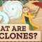 What Are the Different Types of Cyclones? Crash Course Geography #12