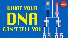 What can DNA tests really tell us about our ancestry? – Prosanta Chakrabarty