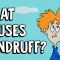 What causes dandruff, and how do you get rid of it? – Thomas L. Dawson