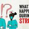 What happens during a stroke? – Vaibhav Goswami