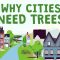 What happens if you cut down all of a city’s trees? – Stefan Al