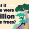 What if there were 1 trillion more trees? – Jean-François Bastin