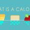 What is a calorie? – Emma Bryce