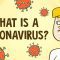 What is a coronavirus? – Elizabeth Cox