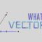 What is a vector? – David Huynh