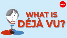 What is déjà vu? What is déjà vu? – Michael Molina