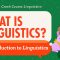 What is Linguistics?: Crash Course Linguistics #1