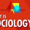 What Is Sociology?: Crash Course Sociology #1