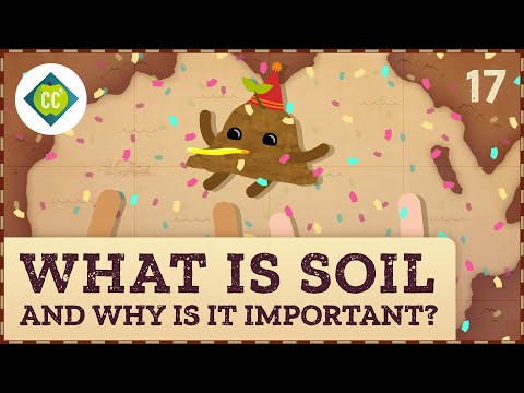 What is Soil (and Why is it Important)?: 速成课程地理 #17