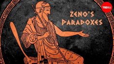 What is Zenos Dichotomy Paradox? – Colm Kelleher