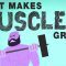 What makes muscles grow? – Jeffrey Siegel