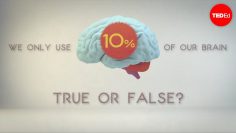 What percentage of your brain do you use? – Richard E. Cytowic