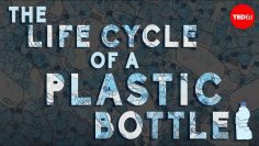 What really happens to the plastic you throw away – Emma Bryce