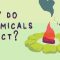 What triggers a chemical reaction? – Kareem Jarrah