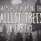 What’s hidden among the tallest trees on Earth? – Wendell Oshiro