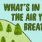 What’s in the air you breathe? – Amy Hrdina and Jesse Kroll