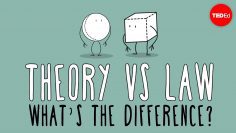 What’s the difference between a scientific law and theory? – Matt Anticole