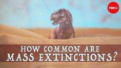 When will the next mass extinction occur? – Borths, DEmic, and Pritchard