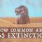 When will the next mass extinction occur? – Borths, D’Emic, and Pritchard