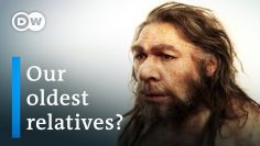 Who were the Neanderthals? | 德国之声纪录片