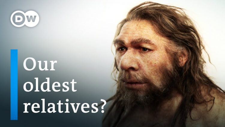 Who were the Neanderthals? | 德國之聲紀錄片