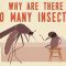 Why are there so many insects? – Murry Gans