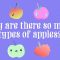 Why are there so many types of apples? – Theresa Doud